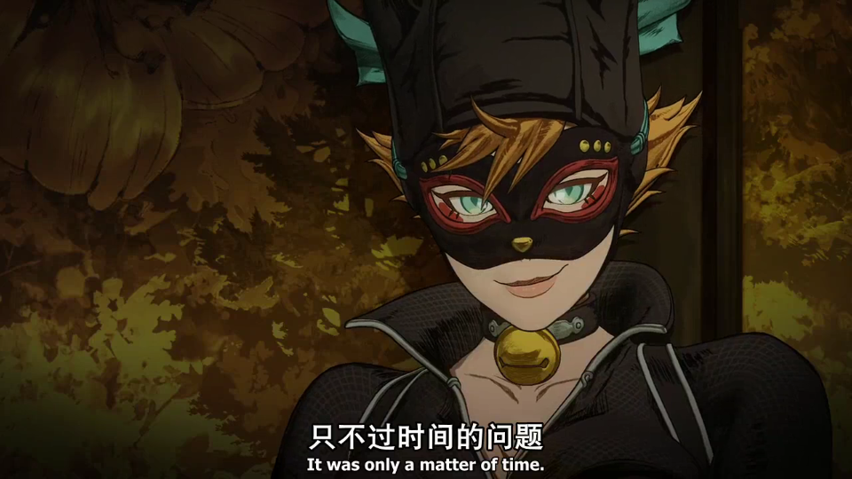 忍者蝙蝠侠猫女 dc
