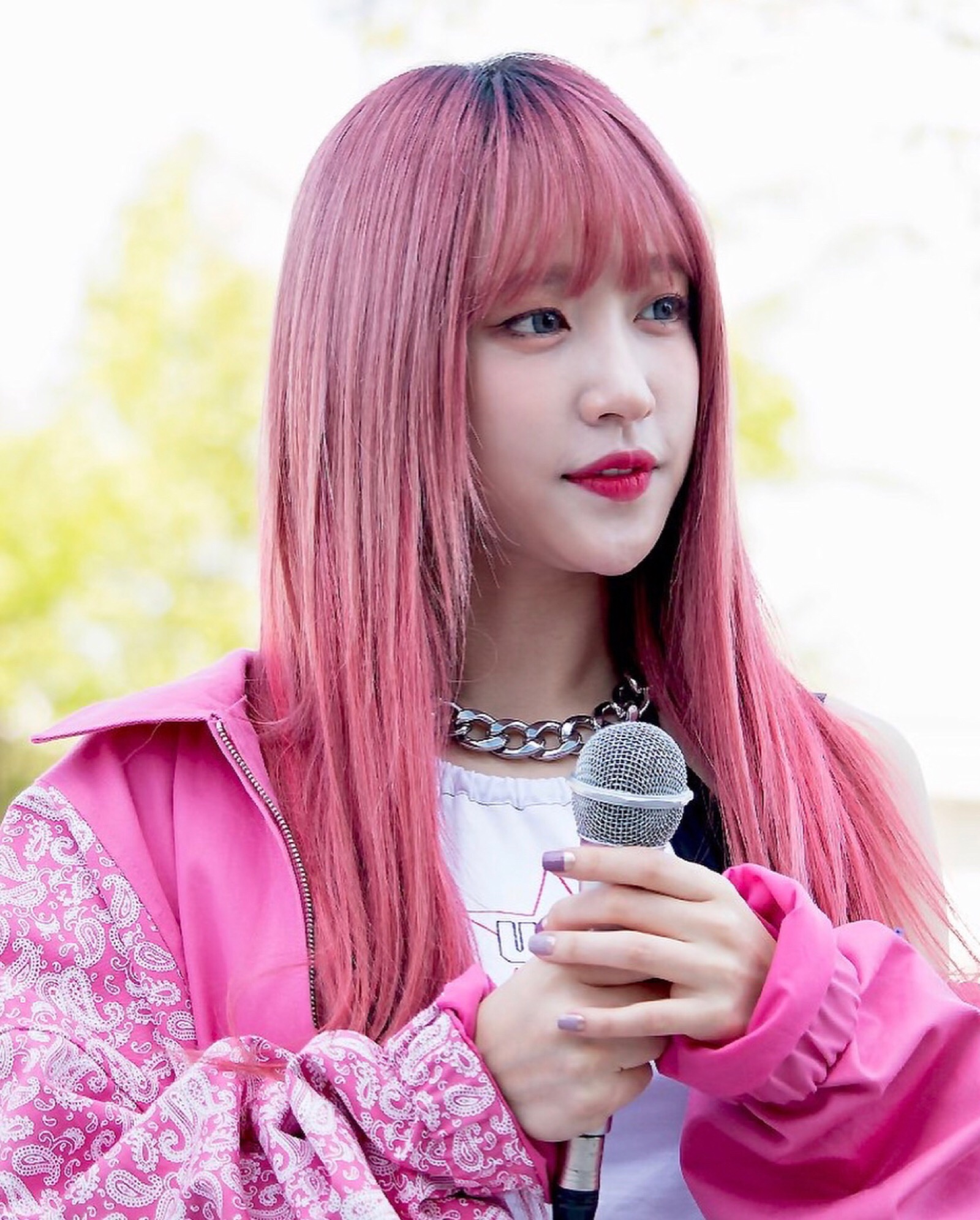 hani