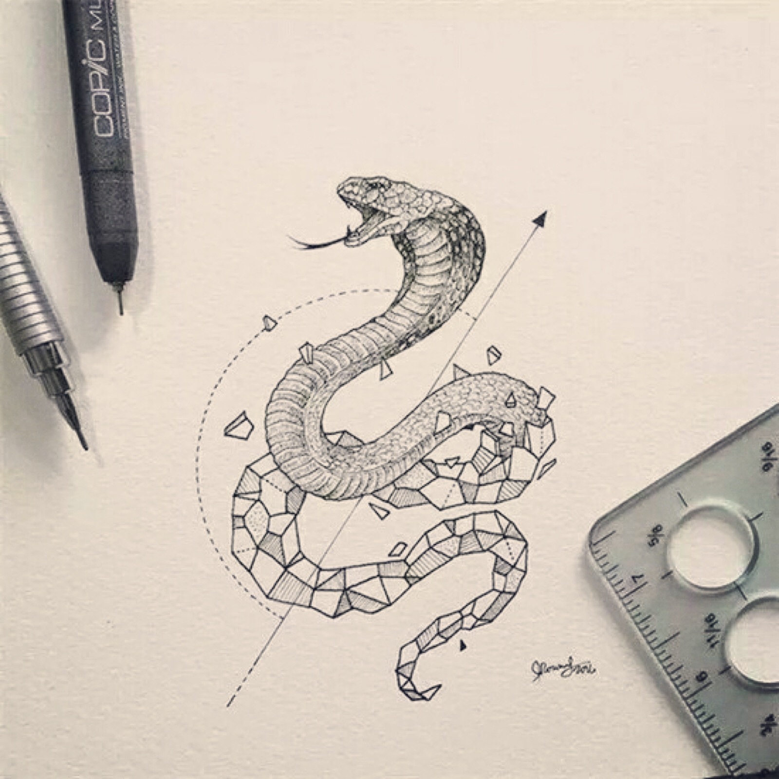 眼镜蛇的画法图片