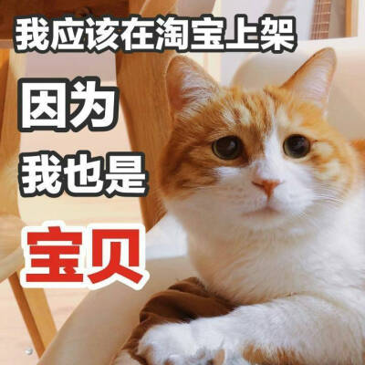 表情包 我应该在淘宝上架