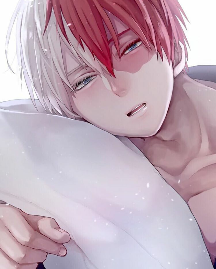 轰焦冻 我的英雄学院