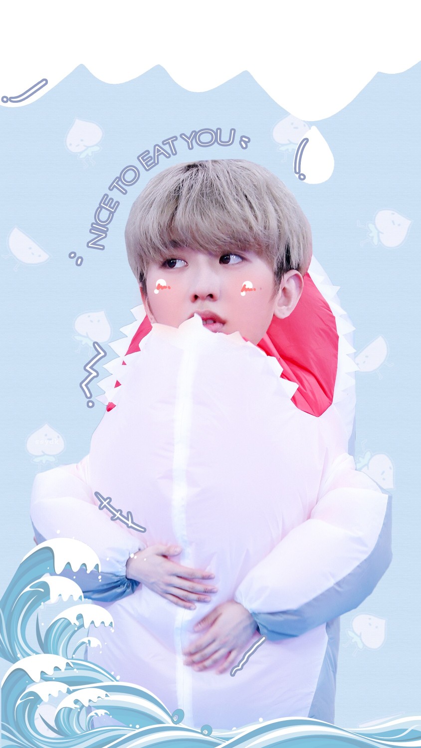 蔡徐坤 /不应当,因为你是一只可爱的小鲨鱼