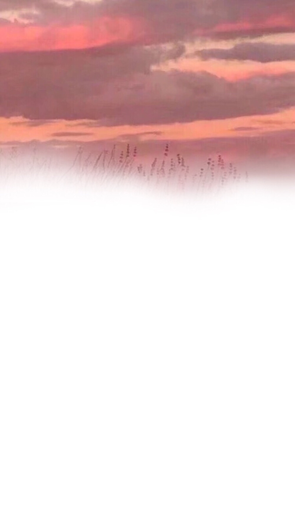 qq 名片背景/空间背景/渐变/全屏壁纸