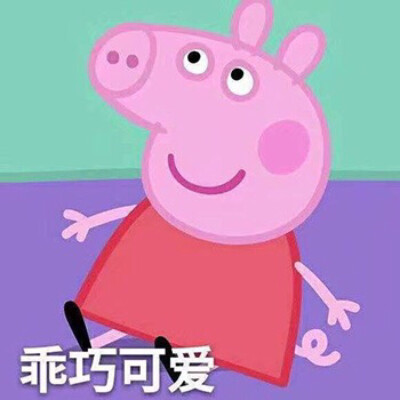 丸子 小新 猪妹