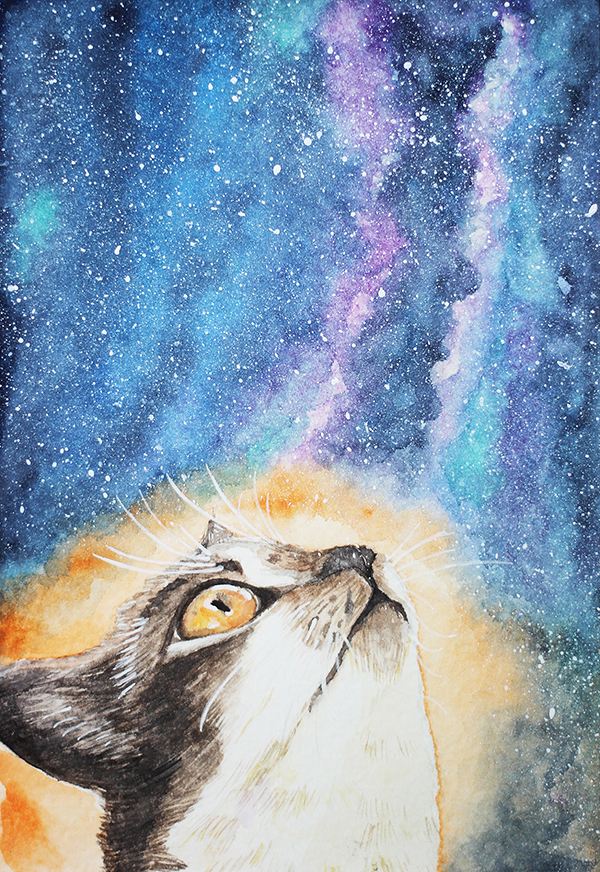 水粉画 水彩画 星空画 动物 猫