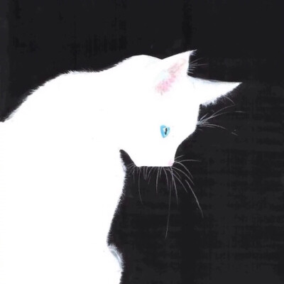 猫简笔画情侣头像