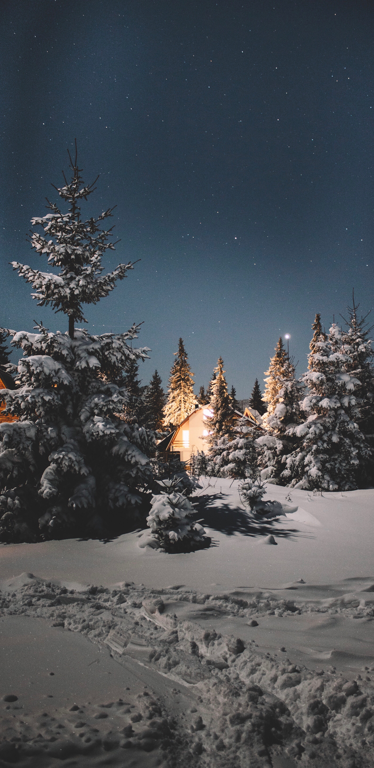 雪夜美图图片