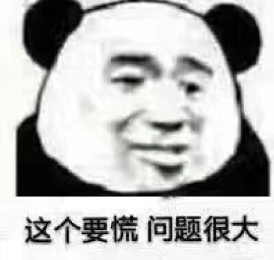 嘿嘿嘿熊猫表情