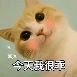 你的小可爱已经上线