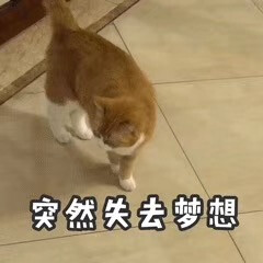 突然间失去梦想