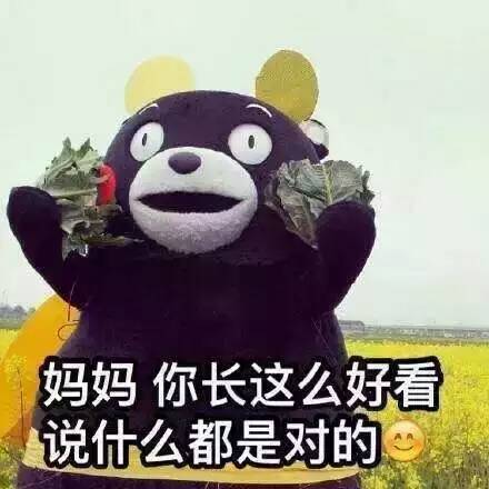 可以发妈妈的表情包