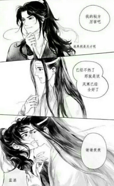 温晁×蓝湛车图片