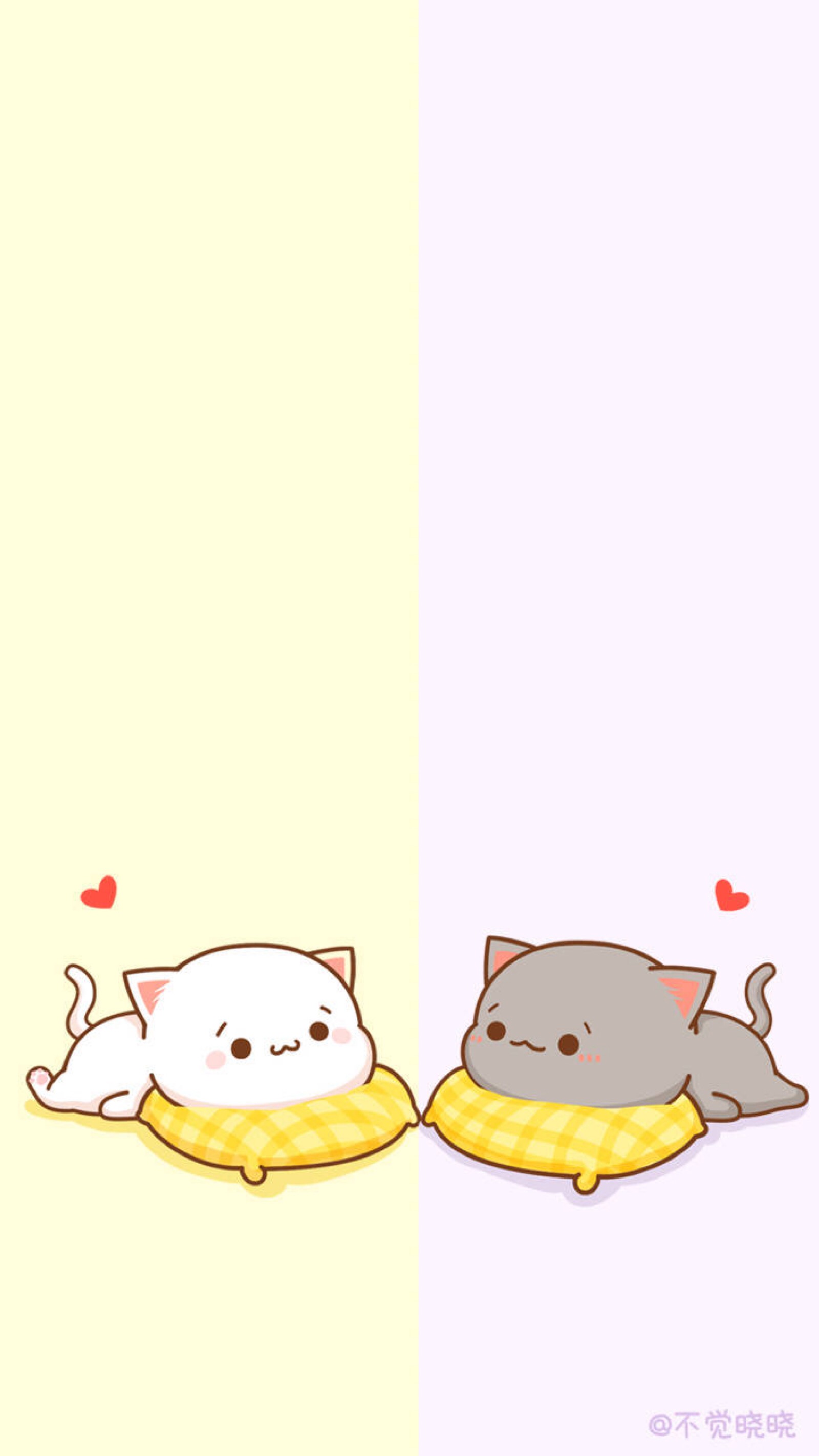 蜜桃猫#聊天背景#不觉晓晓