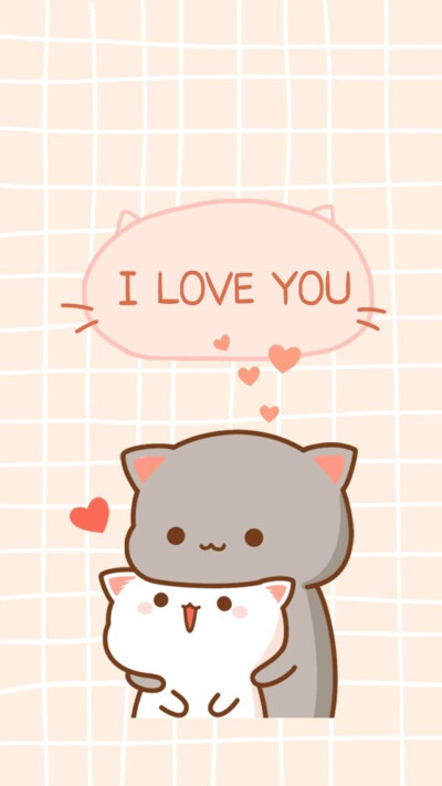 蜜桃猫#壁纸#不觉晓晓