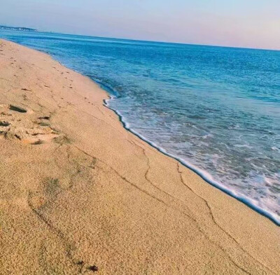 海/微信/qq名片壁纸