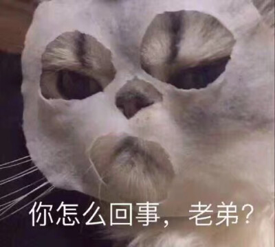 表情包