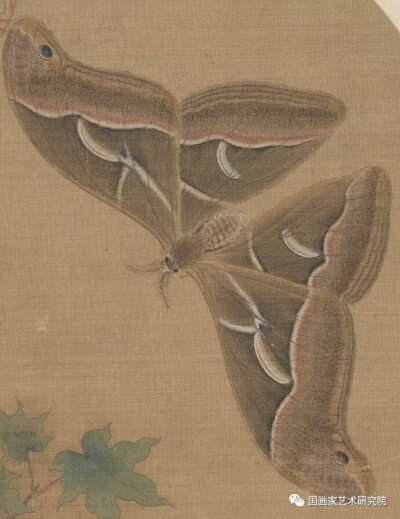 2cm 北京故宫博物院藏 《青枫巨蝶图》是一幅写实小景画,是宋代工笔