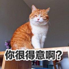 表情包 得意