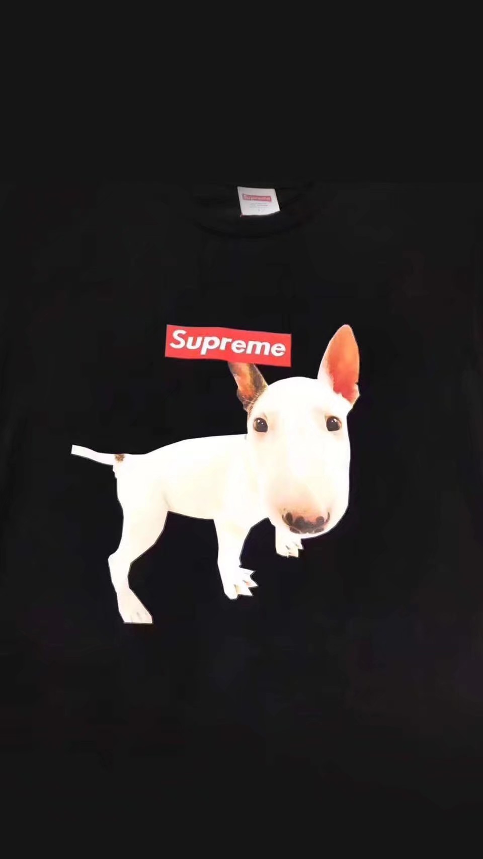 潮牌潮牌 - 堆糖,美图壁纸兴趣社区