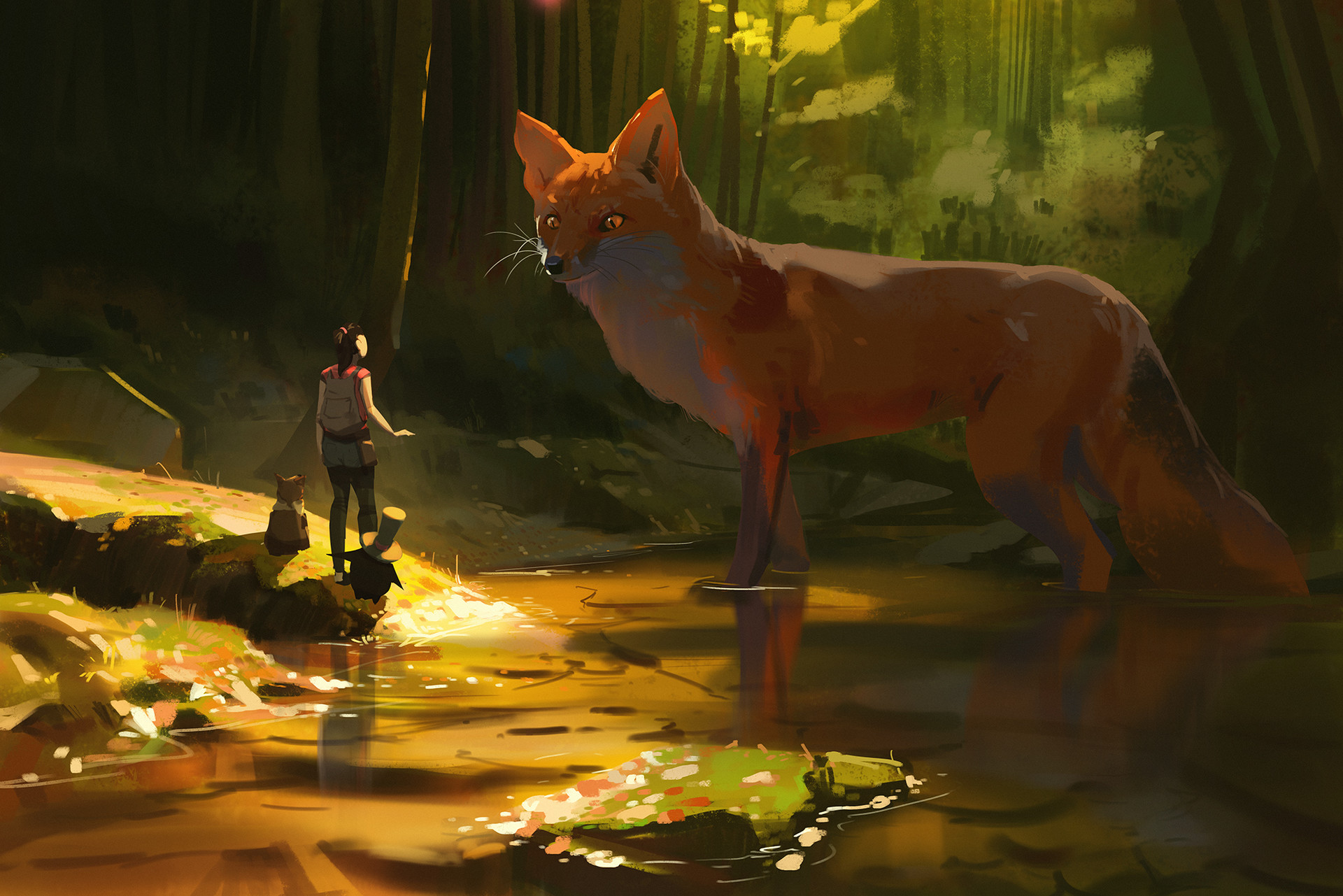 森林里的狐狸 