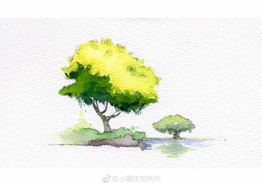 【钢笔淡彩教程】九种植被表现方法分享给大家~△ 画笔:马蒂尼松鼠毛