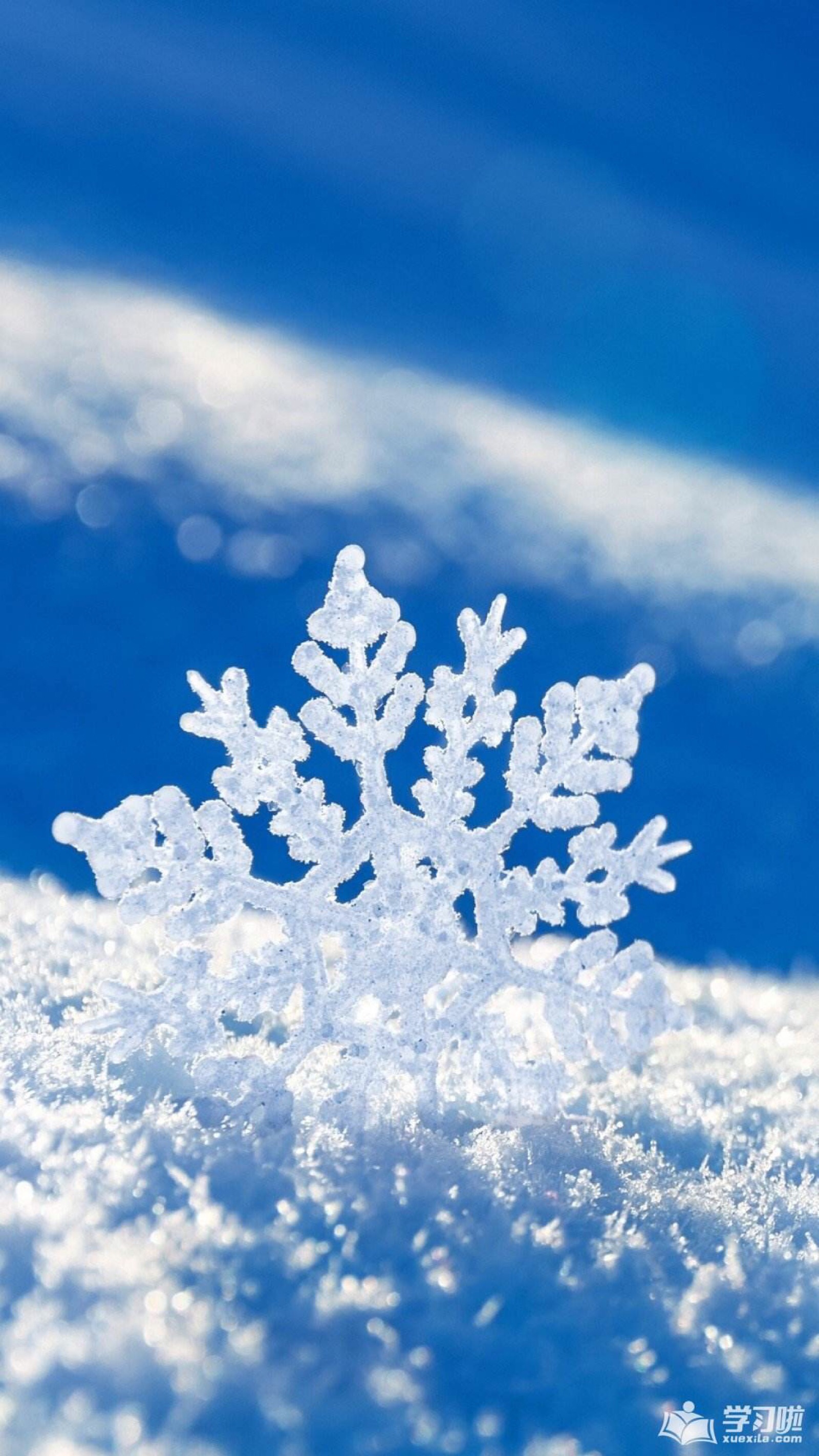 7273wallpaper0075 - 堆糖,美图壁纸兴趣社区