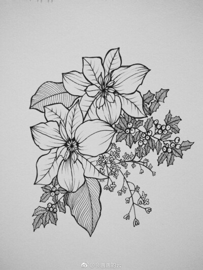 花花世界