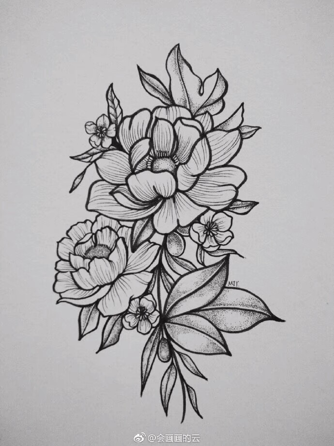 线描花卉