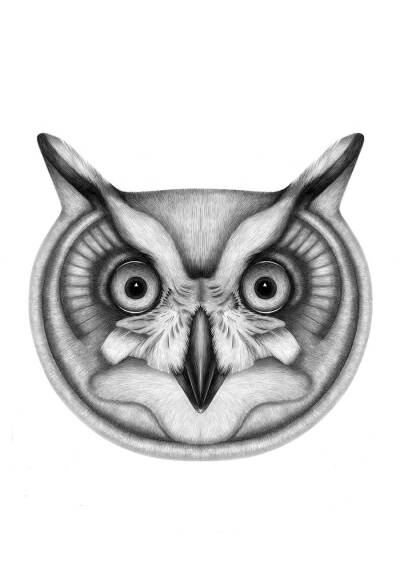 charlotte quillet逼真的动物肖像画作品