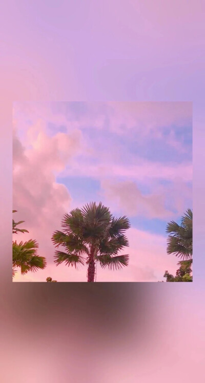 收集   点赞  评论  少女心壁纸 高清 粉色 可爱 图源网侵删 0 0