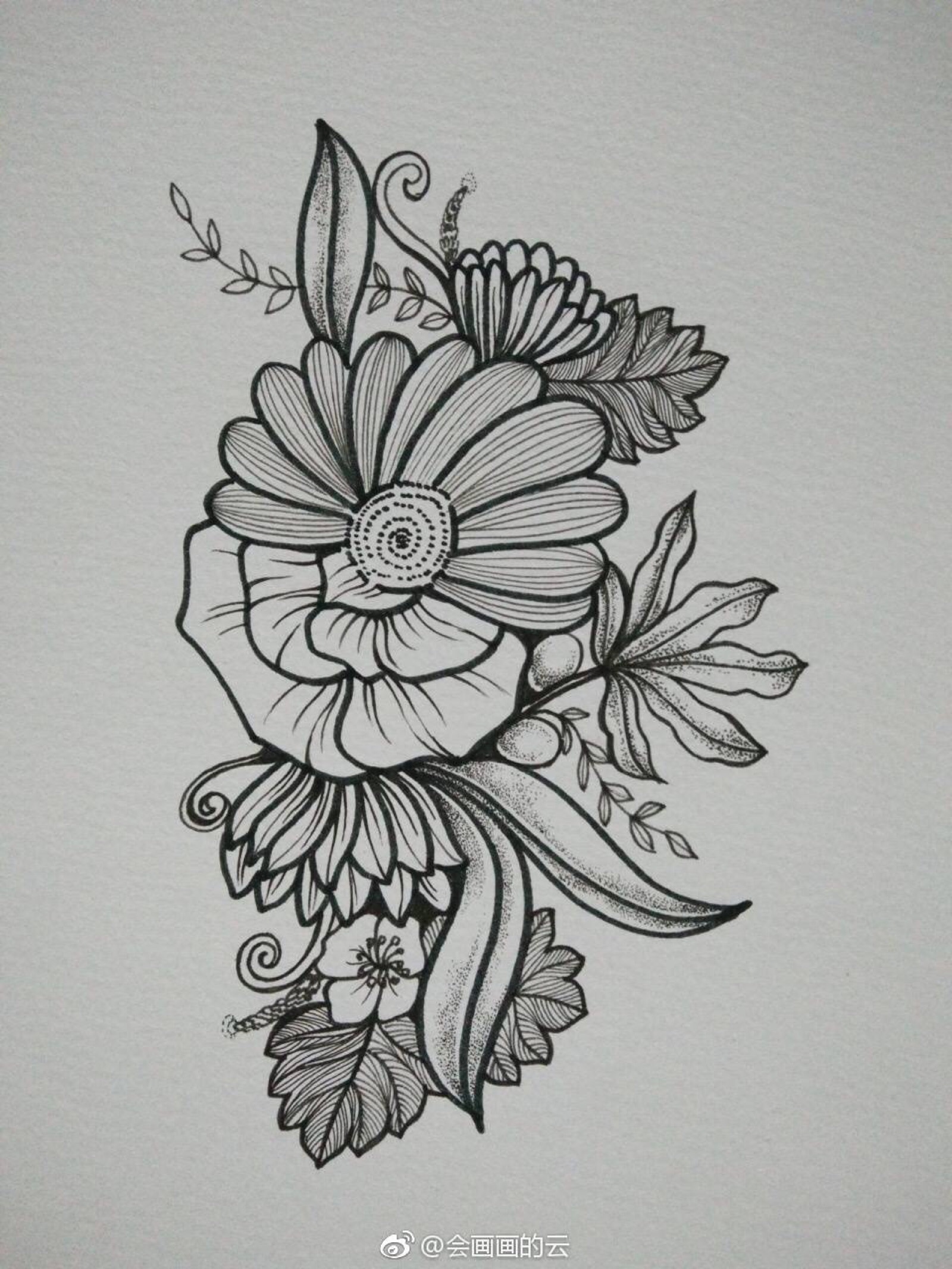 黑白线描 花卉