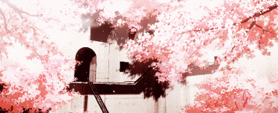 樱花雨 动态壁纸图片