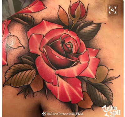 old school玫瑰花纹身图案手稿