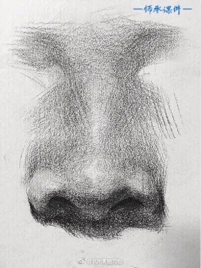 鼻子漫画图片 铅笔画图片