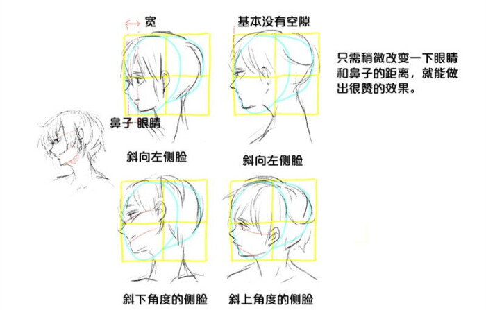 侧脸脸型分类图图片