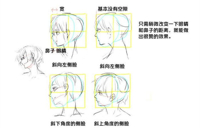 侧脸名称分布图图片