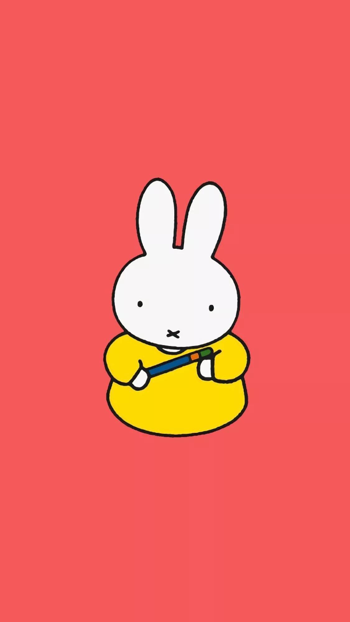 米菲兔动画片图片