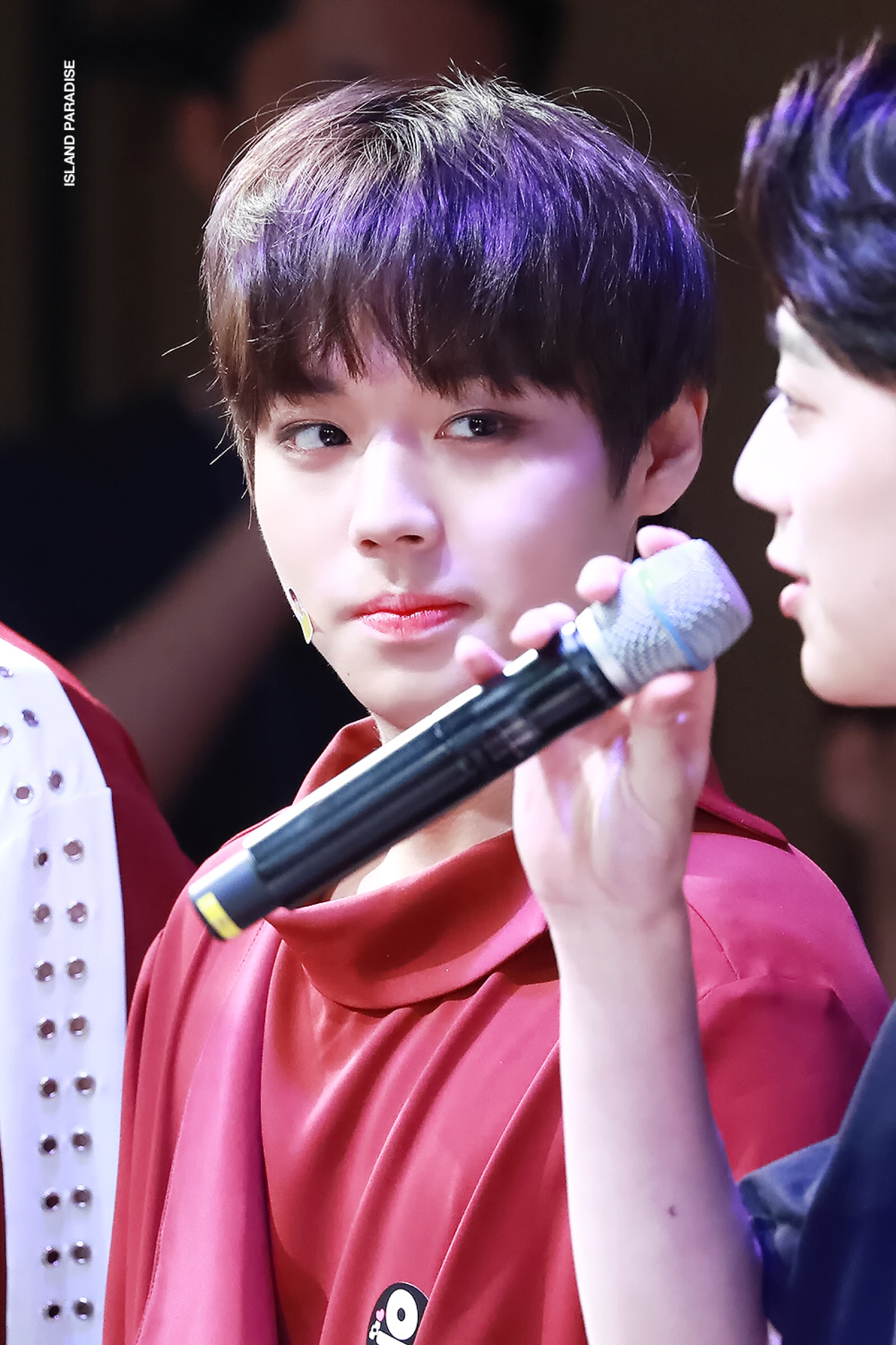 关注  评论 收藏