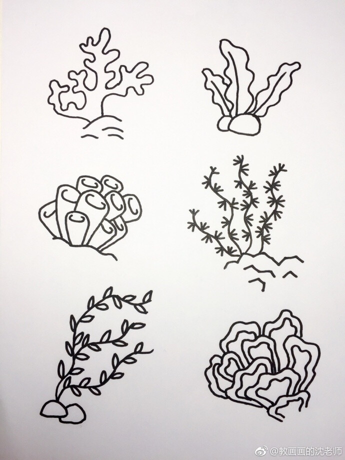 海底珊瑚水草简笔画图片