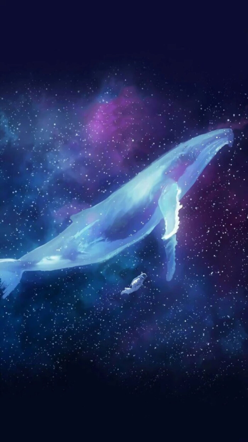 鲸与海 