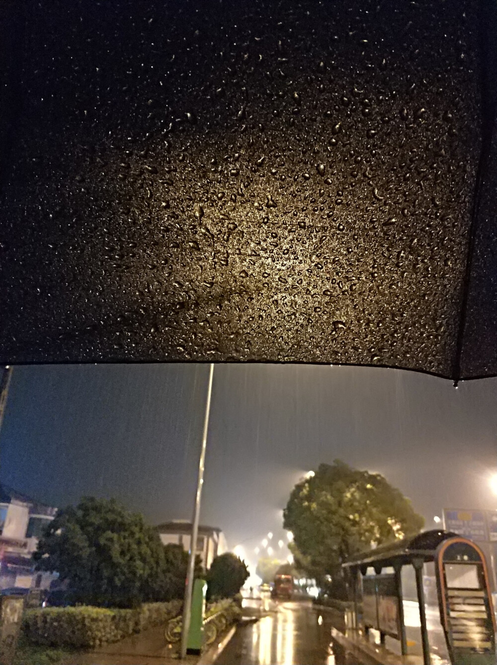 夜晚下雨打伞的图片图片
