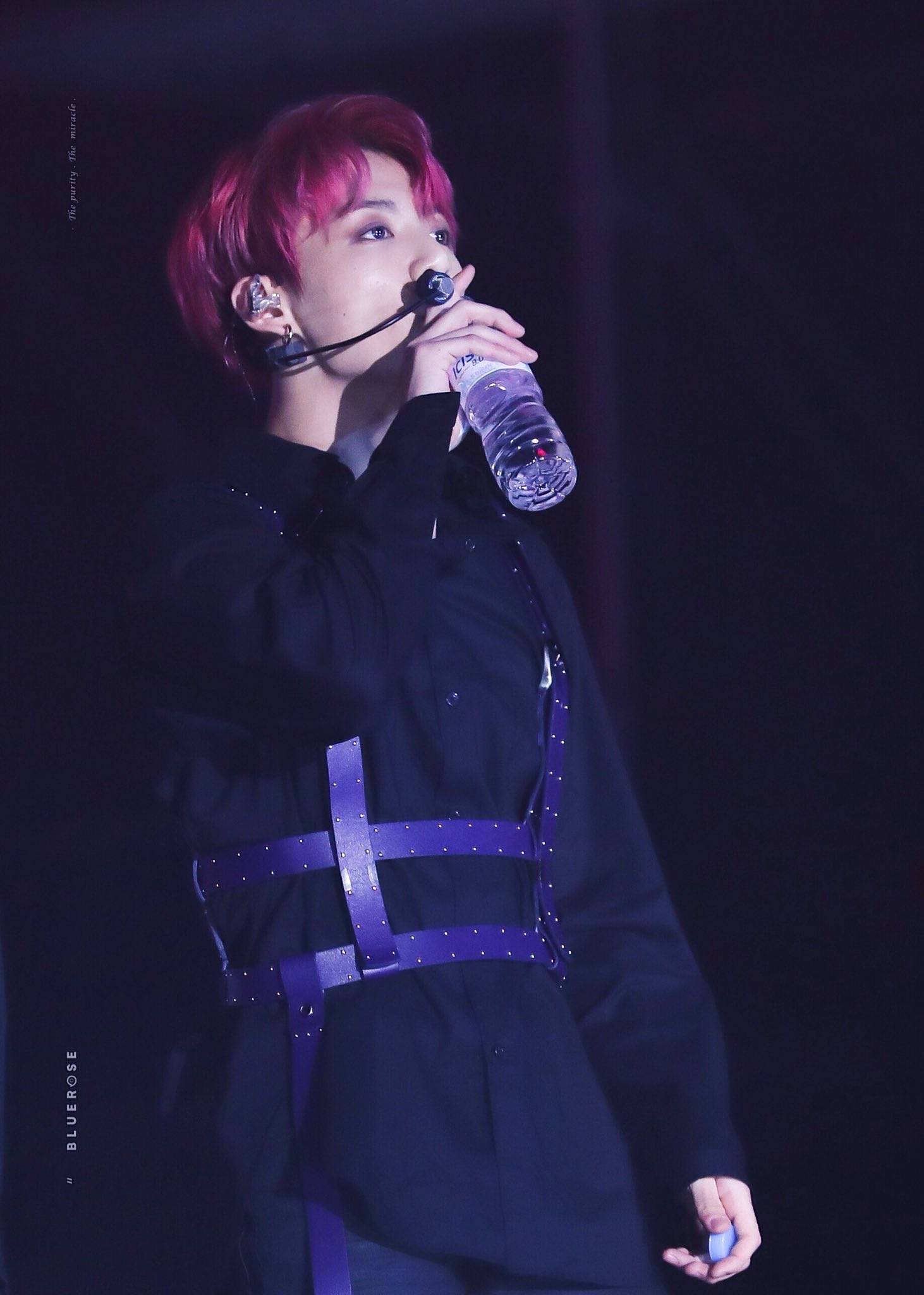 田柾国/小国/jungkook 红发…昏古去了 cr.