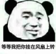 拿图点赞侵权立删高糊表情包 喵咪 熊猫头 gif 金馆长 斗图 文字系列