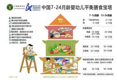 膳食宝塔