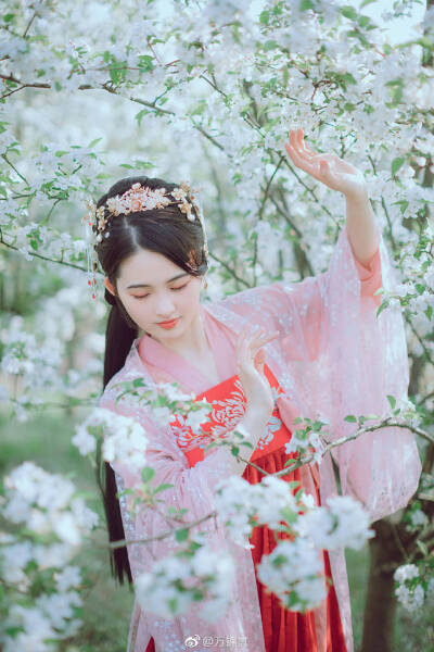 华模