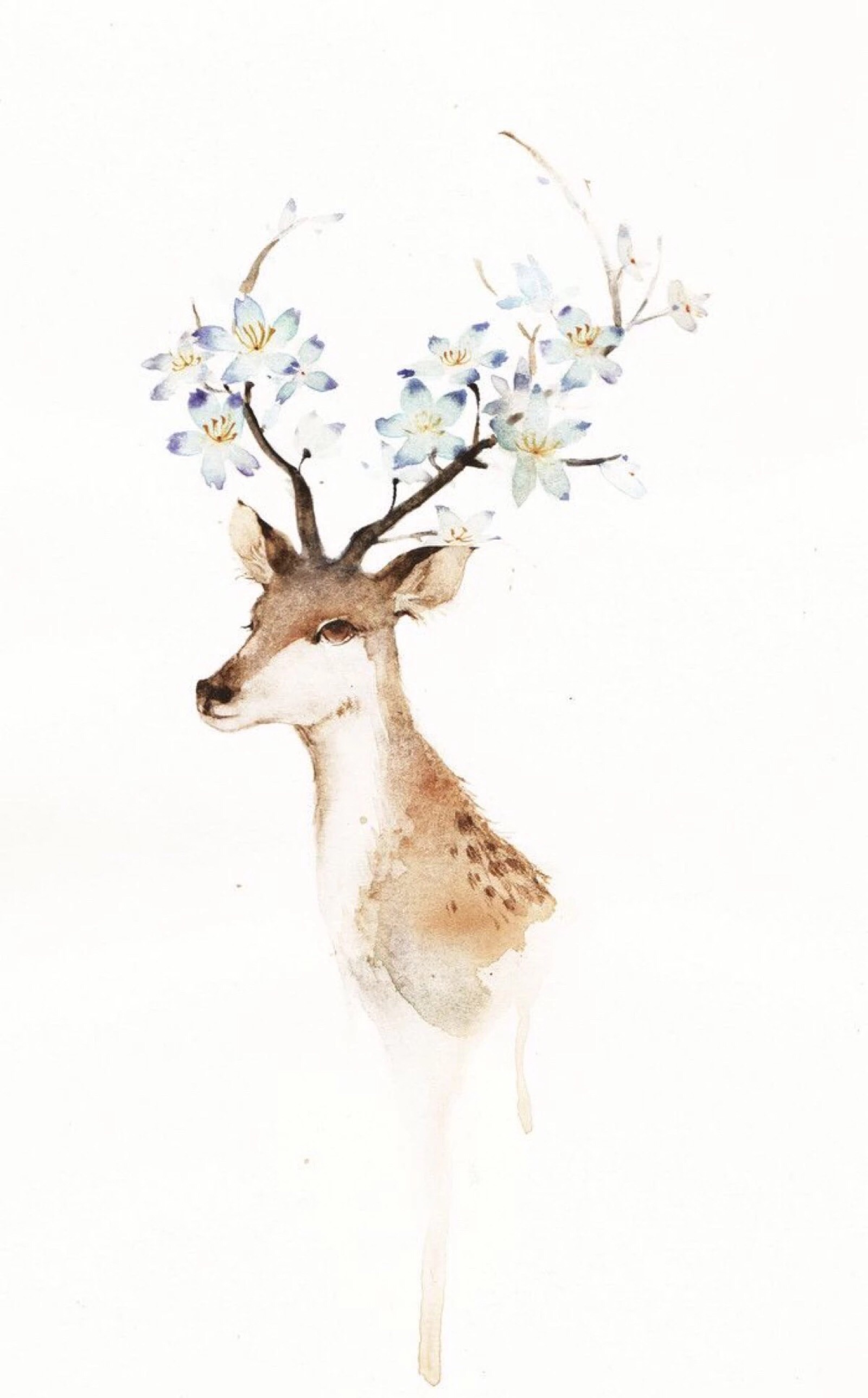 鹿- 堆糖,美图壁纸兴趣社区