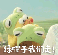 鹦鹉兄弟表情包 gif 橙