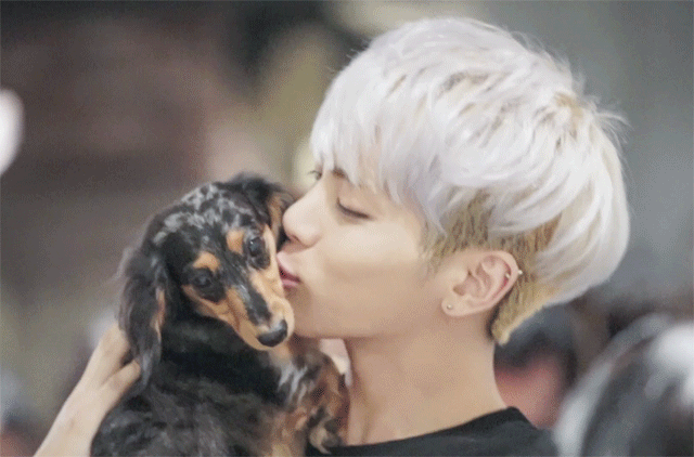 shinee 钟铉 动图