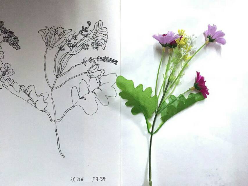 儿童画 写生 速写 线描 静物 蔬菜 水果 花卉 人物 水粉 油画棒 重彩
