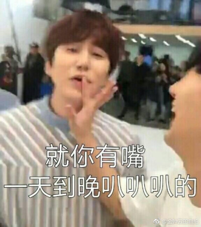super junior表情包